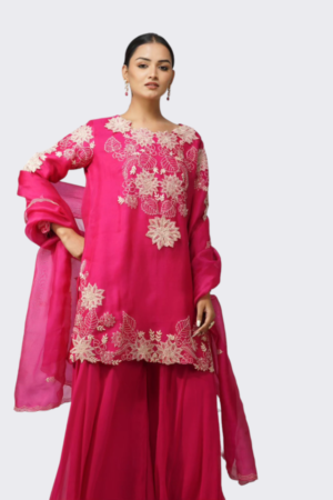 Suit Set in Pink - Resham Handwork